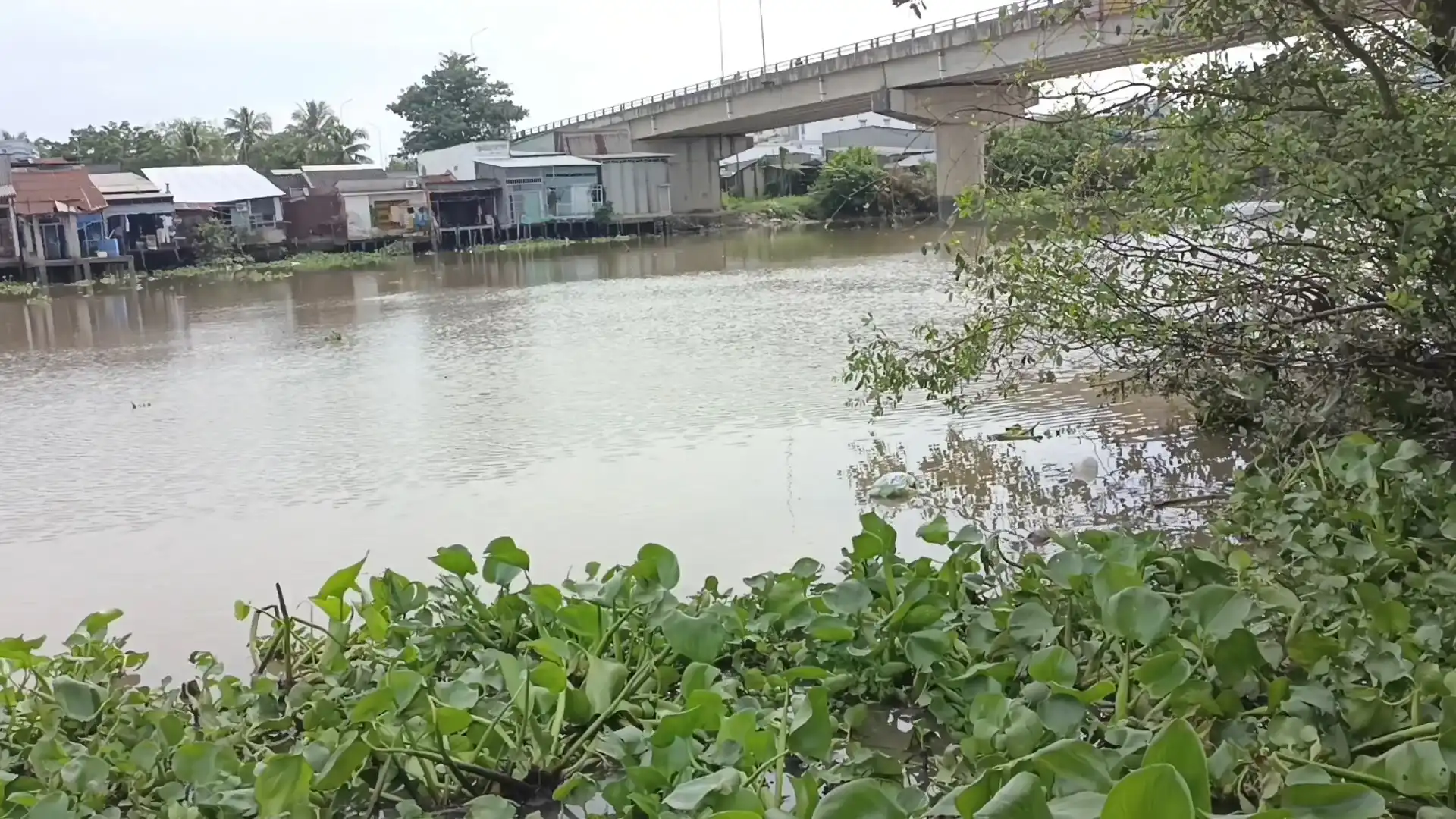 Sông nhu gia - Cảnh chụp dưới chân cầu Nhu Gia